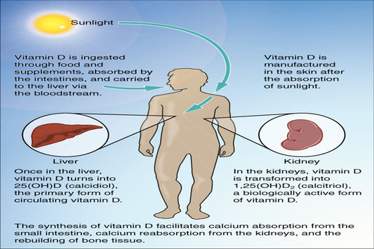Supplements for healthy bones and joints