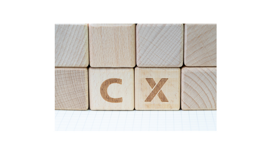 Customer Experience BPO Industry