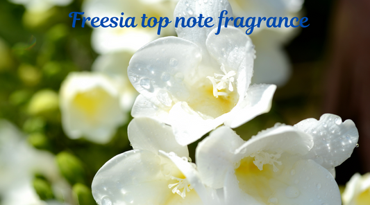 Floral fragrances