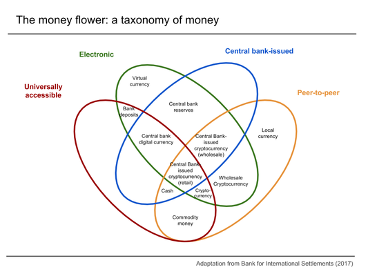 The money flower: a taxonomy of money