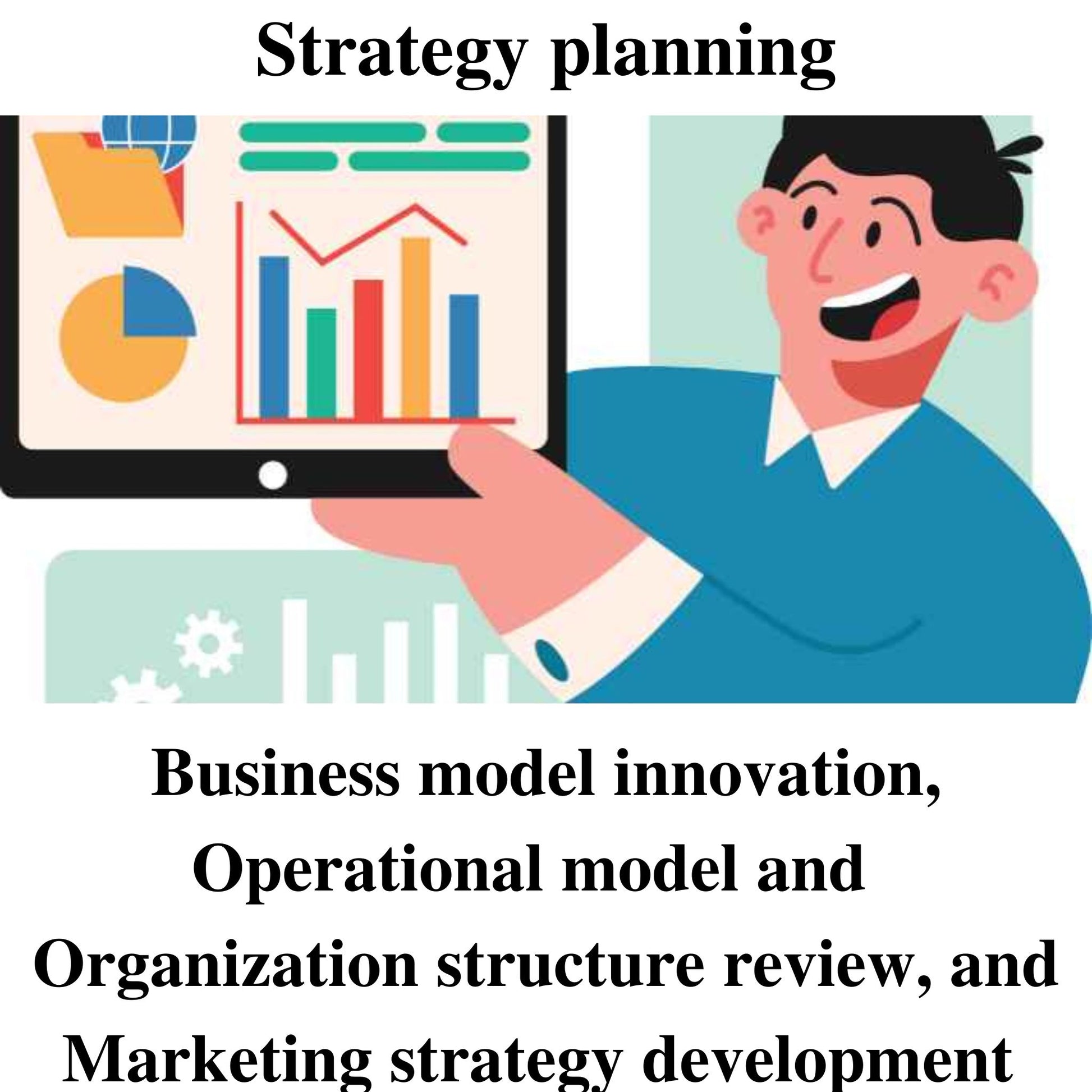 Strategy planning, business model innovation, operational model and organization structure review, and marketing strategy development.